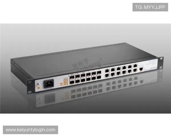 开云官方网站的安全保障措施与账号保护策略详尽解读